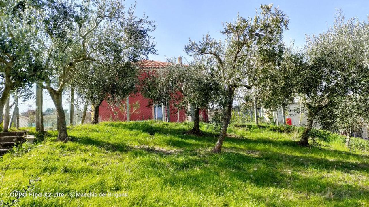 Montefalcione Agriturismo Macchia Dei Briganti - B&B מראה חיצוני תמונה