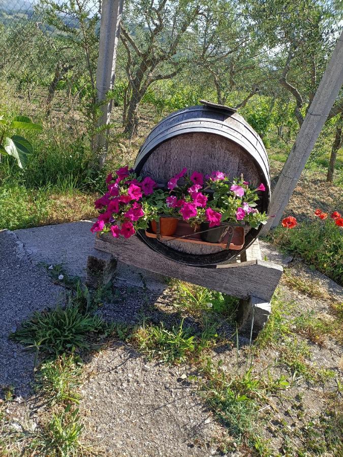 Montefalcione Agriturismo Macchia Dei Briganti - B&B מראה חיצוני תמונה