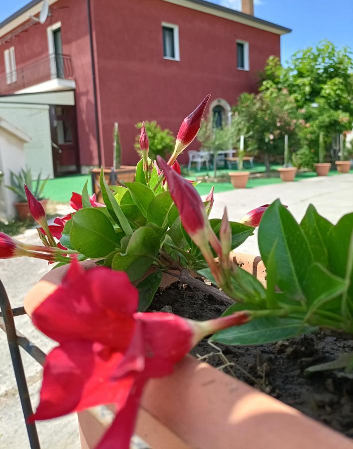 Montefalcione Agriturismo Macchia Dei Briganti - B&B מראה חיצוני תמונה