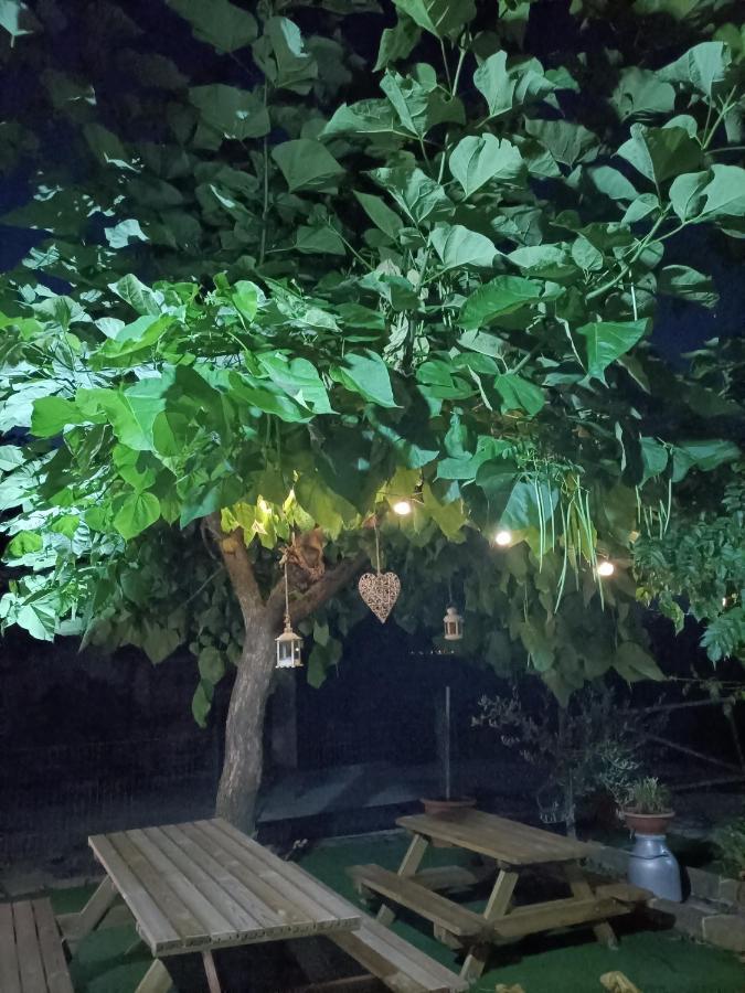 Montefalcione Agriturismo Macchia Dei Briganti - B&B מראה חיצוני תמונה